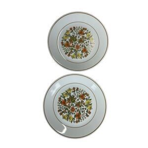 Lot of 2 Corelle Corning Indian summer 8.5 lunch salad plate